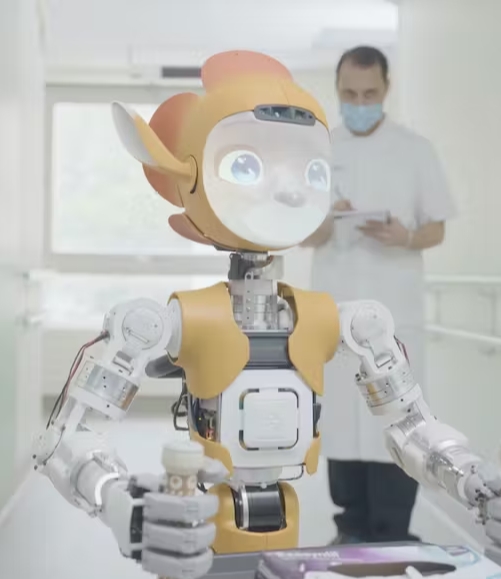 Mirokaka機器人