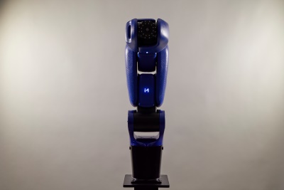 Mantis Robots