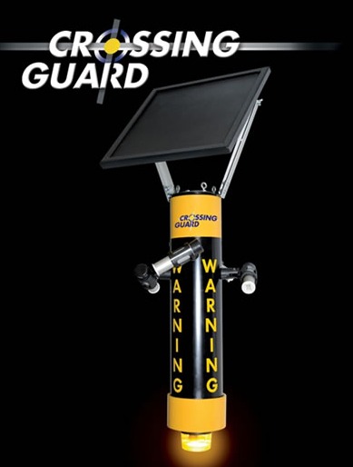 crossing guard